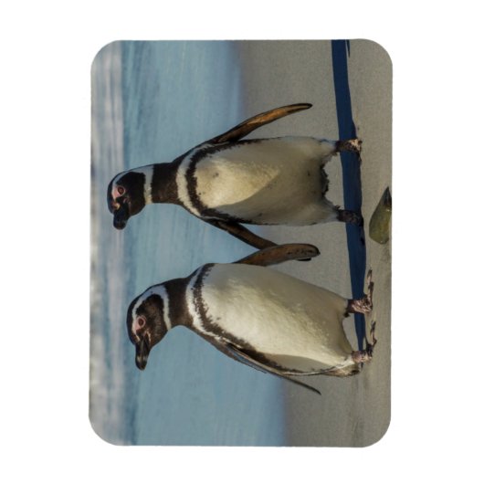 Magnet Flexible Au pair des penguins (Vertical)