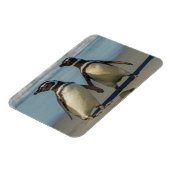 Magnet Flexible Au pair des penguins (Côté Gauche)