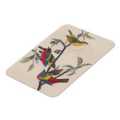 Magnet Flexible Audubon Peint Bunting Bird Wildlife (Côté Gauche)