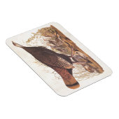 Magnet Flexible Audubon Wild Turkey Hen and Chicks à l'automne (Côté Droit)