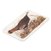 Magnet Flexible Audubon Wild Turkey Hen and Chicks à l'automne (Côté Gauche)