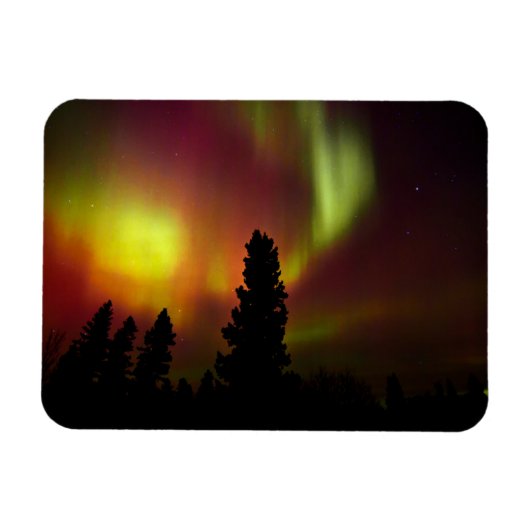 Magnet Flexible Aurora boréale et arbres (Horizontal)