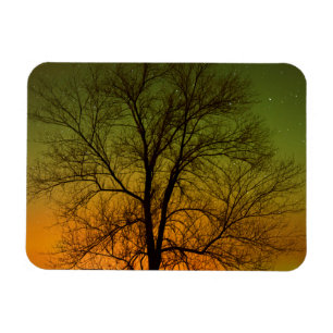 Magnet Flexible Aurora Borealis & Cottonwood Tree