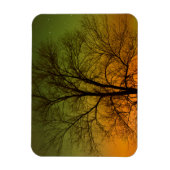 Magnet Flexible Aurora Borealis & Cottonwood Tree (Vertical)