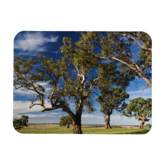 Magnet Flexible Australie, Barossa Valley, Mount Pleasant (Horizontal)
