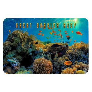 Magnet Flexible Australie Grande barrière de corail stylisée
