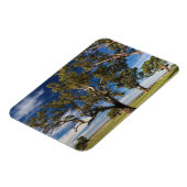 Magnet Flexible Australie, Vallée de Barossa, Mont Pleasant (Côté Gauche)