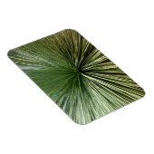 Magnet Flexible Australien Plante - abstrait (Côté Droit)