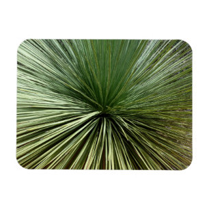 Magnet Flexible Australien Plante - abstrait