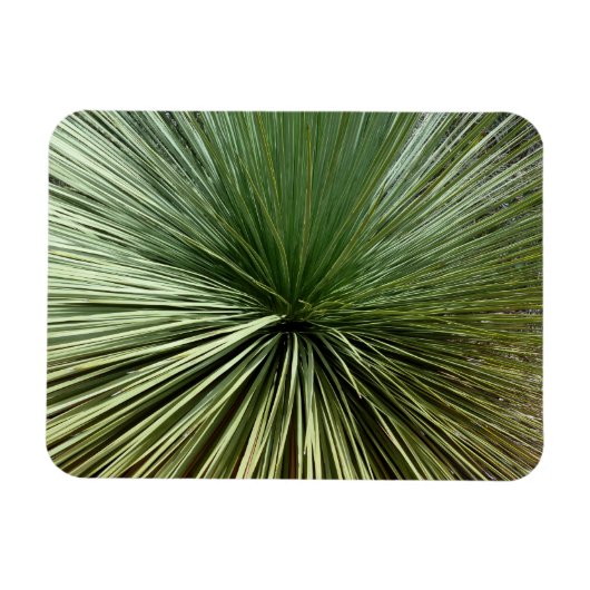 Magnet Flexible Australien Plante - abstrait (Horizontal)