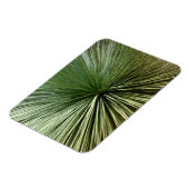 Magnet Flexible Australien Plante - abstrait (Côté Gauche)