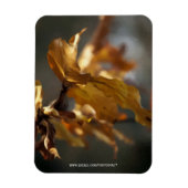 Magnet Flexible Automne (Vertical)