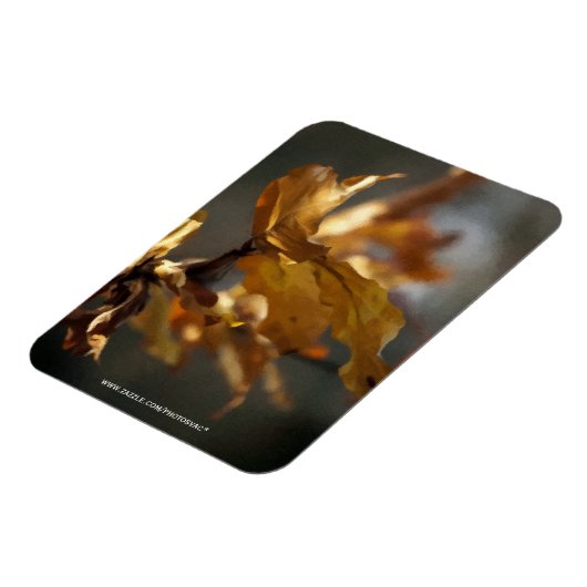 Magnet Flexible Automne (Côté Gauche)
