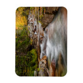 Magnet Flexible Automne à Jefferson Brook, New Hampshire (Vertical)