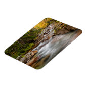Magnet Flexible Automne à Jefferson Brook, New Hampshire (Côté Gauche)