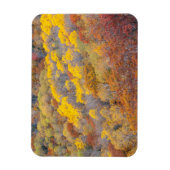 Magnet Flexible Automne dans le Michigan (Vertical)