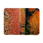 Magnet Flexible Automne dans le parc (Horizontal)