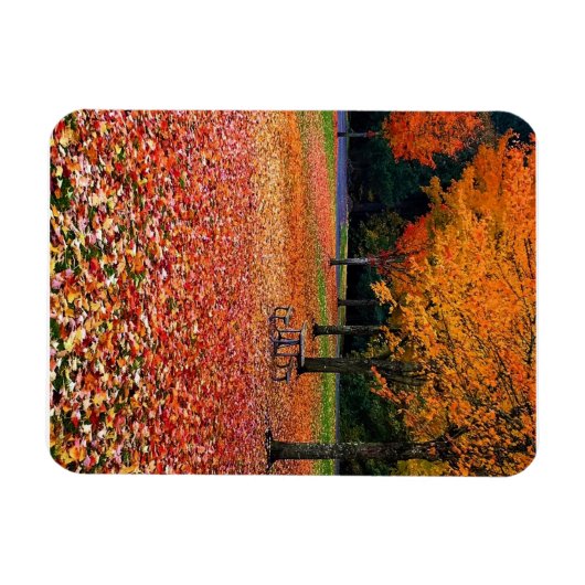 Magnet Flexible Automne dans le parc (Horizontal)
