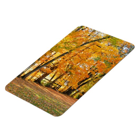 Magnet Flexible Automne dans le parc avec pont piétonnier en bois (Côté Gauche)