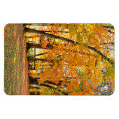 Magnet Flexible Automne dans le parc avec pont piétonnier en bois (Horizontal)