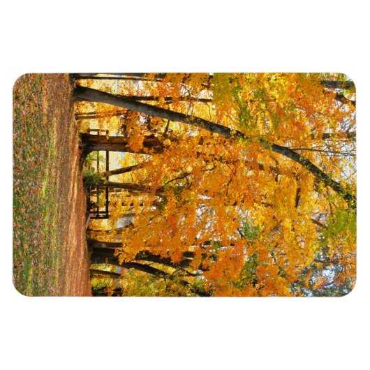 Magnet Flexible Automne dans le parc avec pont piétonnier en bois (Horizontal)
