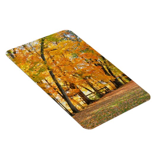 Magnet Flexible Automne dans le parc avec pont piétonnier en bois (Côté Droit)