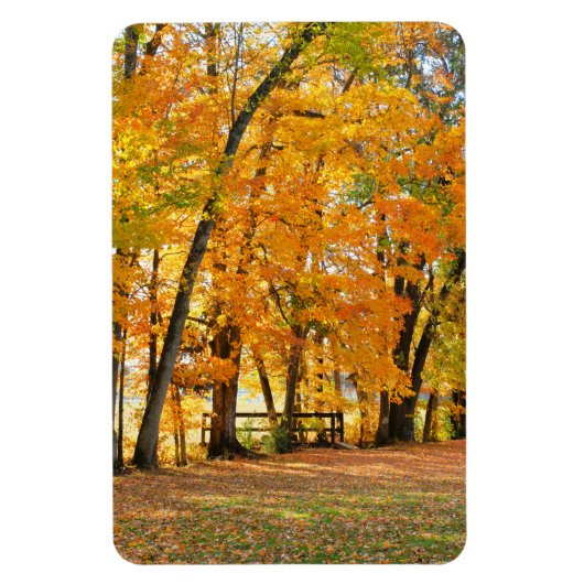 Magnet Flexible Automne dans le parc avec pont piétonnier en bois (Vertical)