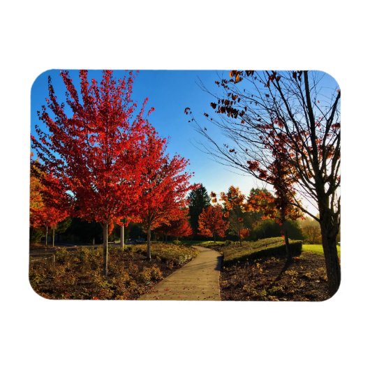 Magnet Flexible Automne dans le parc, Oregon (Horizontal)