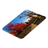 Magnet Flexible Automne dans le parc, Oregon (Côté Gauche)