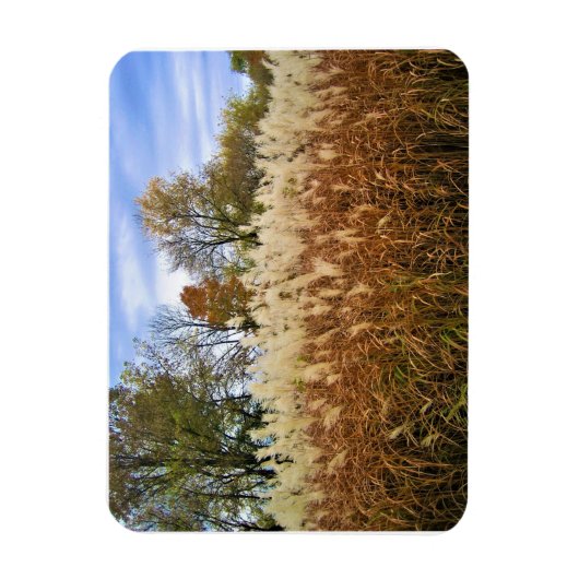 Magnet Flexible Automne dans le Wisconsin (Vertical)