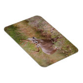 Magnet Flexible Automne de cerfs à queue blanche au Texas (Côté Droit)