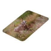 Magnet Flexible Automne de cerfs à queue blanche au Texas (Côté Gauche)