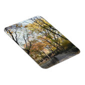 Magnet Flexible Automne Feuillage Automne Feuilles Nature Arbre Ph (Côté Droit)