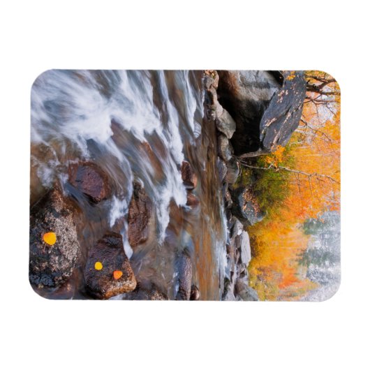 Magnet Flexible Automne le long de Bishop Creek, CA (Horizontal)