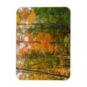 Magnet Flexible Automne Maple Trees Automne Photographie de la nat (Vertical)