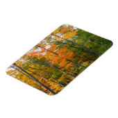 Magnet Flexible Automne Maple Trees Automne Photographie de la nat (Côté Gauche)