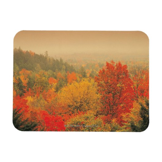 Magnet Flexible Automne, New Hampshire, États-Unis (Horizontal)