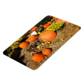 Magnet Flexible Automne sur le Carré (Côté Gauche)