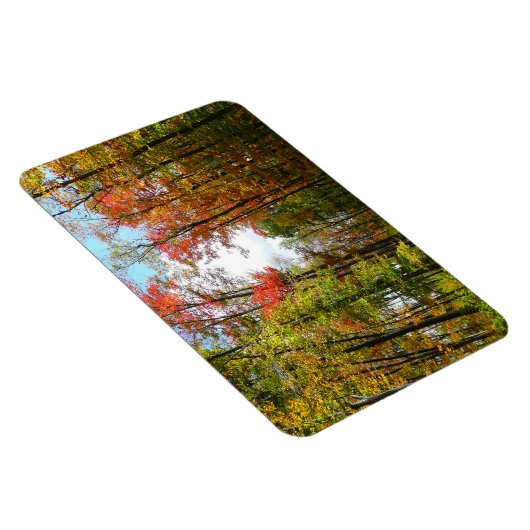 Magnet Flexible Automnes Arbres et Ciel bleu Automne Photographie (Côté Droit)