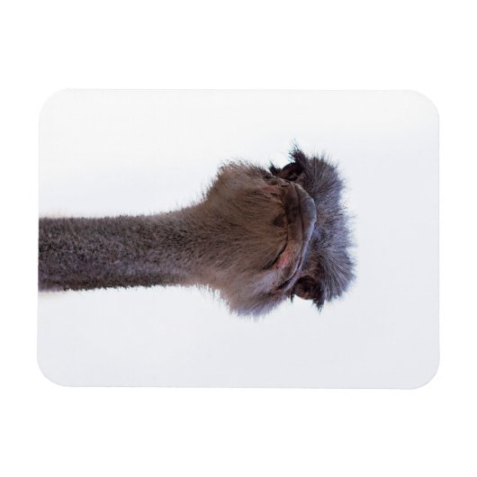 Magnet Flexible autruche (Horizontal)