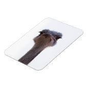 Magnet Flexible autruche (Côté Gauche)