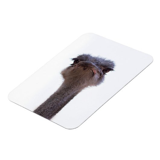 Magnet Flexible autruche (Côté Gauche)