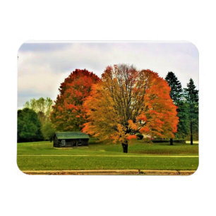 Magnet Flexible Autumn à West Bend, Wisconsin