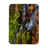 Magnet Flexible Autumn color along Starvation Creek Falls (Vertical)