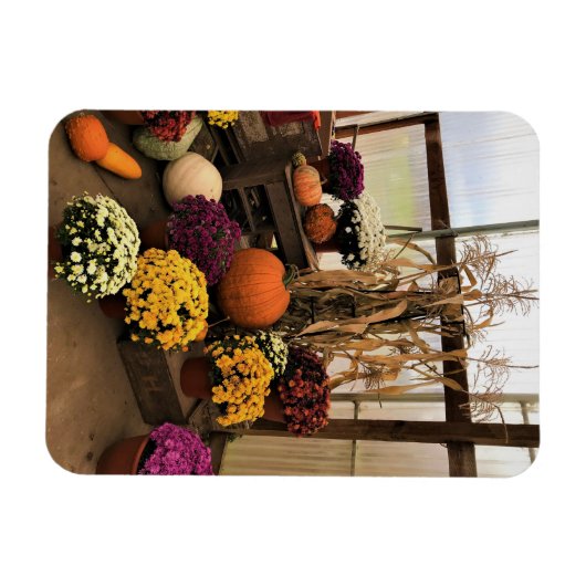 Magnet Flexible Autumn Decor (Horizontal)