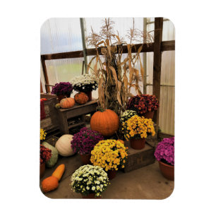 Magnet Flexible Autumn Decor