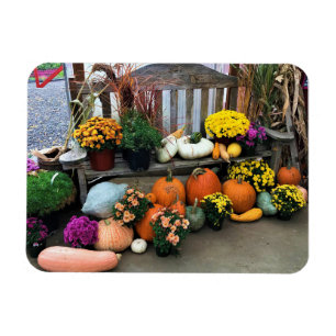 Magnet Flexible Autumn Decor