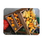 Magnet Flexible Autumn Decor (Horizontal)