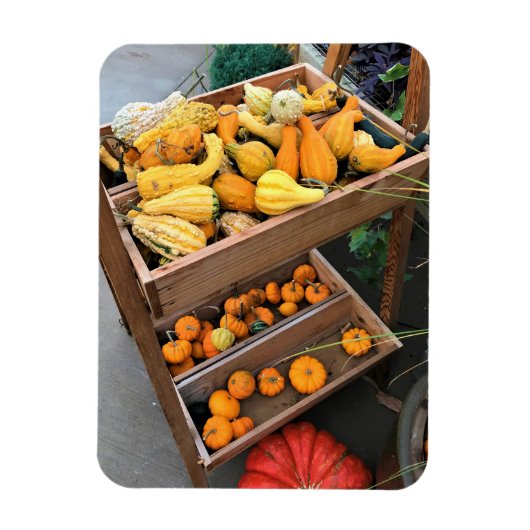 Magnet Flexible Autumn Decor (Vertical)