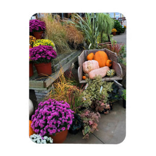 Magnet Flexible Autumn Decor